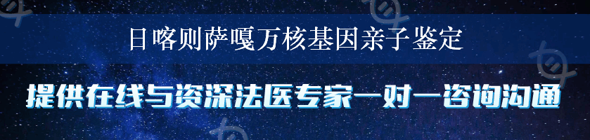 日喀则萨嘎万核基因亲子鉴定